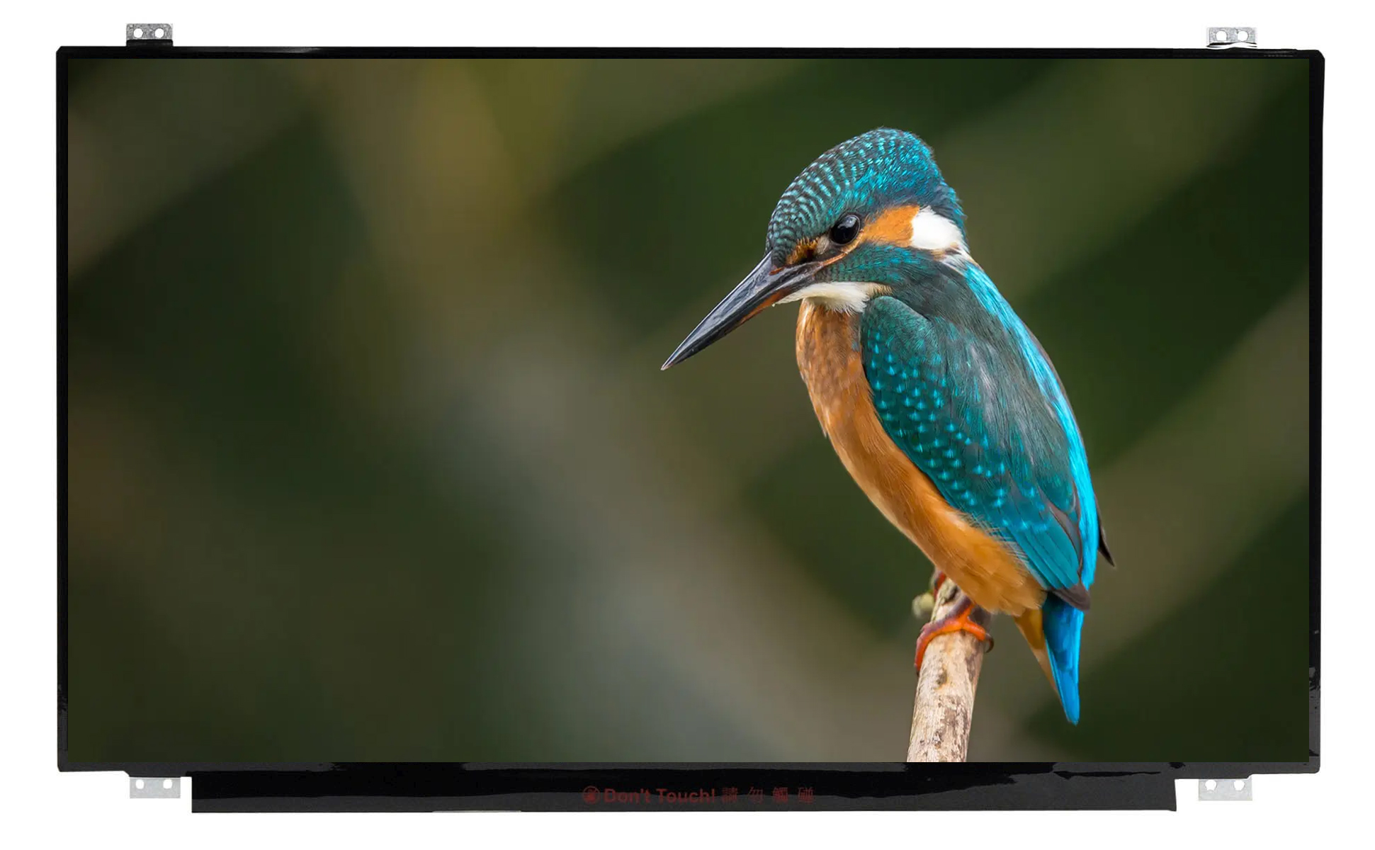 N156HGE-LG1 REV.C1 Uyumlu 15.6" 40 Pin Slim Ekran Panel 1920x1080