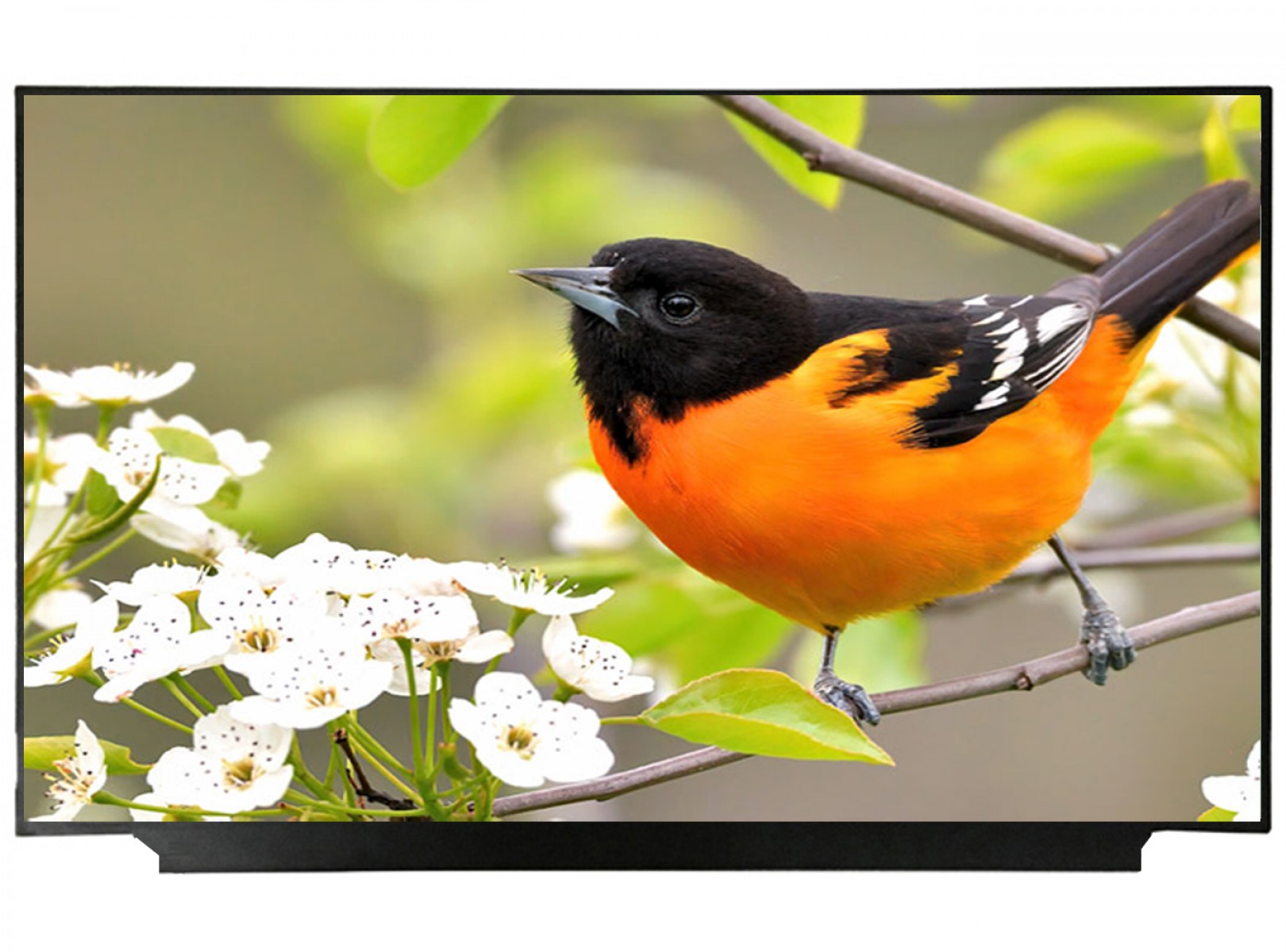 NV173FHM-N49 V8.0 Uyumlu 17.3" 30 Pin Vidasız Ekran Panel 1080p (60HZ)